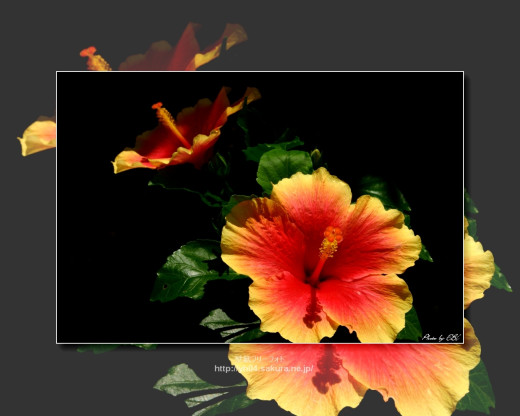 430517 (a): :1280x1024